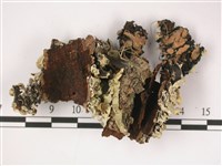 登錄號:L00001362藏品圖，第3張