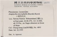 小葉雪花衣藏品圖，第2張