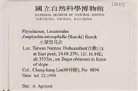 小葉雪花衣藏品圖，第2張