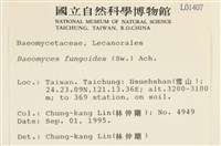登錄號:L00001407藏品圖，第2張