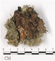 登錄號:L00001432藏品圖，第3張