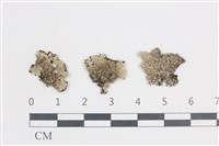 登錄號:L00001478藏品圖，第1張