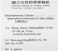 台灣球粉衣藏品圖，第2張