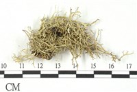 登錄號:L00001532藏品圖，第3張