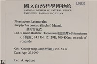 叢毛雪花衣藏品圖，第2張