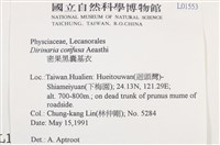 密果黑囊基衣藏品圖，第2張