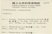 登錄號:L00001570藏品圖，第2張