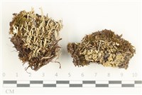 登錄號:L00001579藏品圖，第1張