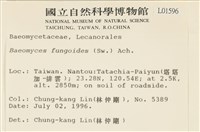 登錄號:L00001596藏品圖，第2張