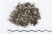 登錄號:L00001612藏品圖，第1張