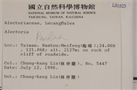 登錄號:L00001623藏品圖，第2張