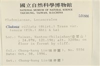 登錄號:L00001666藏品圖，第2張
