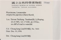 日本雪花衣藏品圖，第2張