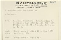 登錄號:L00001697藏品圖，第2張