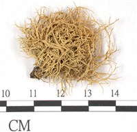 登錄號:L00001759藏品圖，第3張