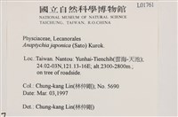 日本雪花衣藏品圖，第2張