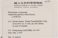 日本雪花衣藏品圖，第2張