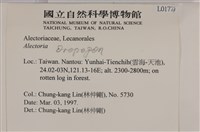 登錄號:L00001779藏品圖，第2張