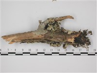 登錄號:L00001798藏品圖，第3張