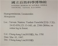 登錄號:L00001800藏品圖，第2張