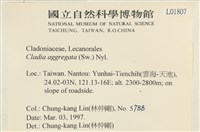 登錄號:L00001807藏品圖，第2張