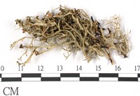 登錄號:L00001837藏品圖，第3張