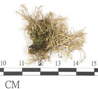 登錄號:L00001841藏品圖，第3張