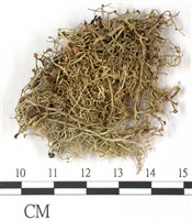 登錄號:L00001842藏品圖，第3張