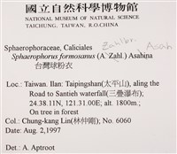 台灣球粉衣藏品圖，第2張