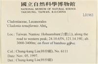 登錄號:L00001963藏品圖，第2張