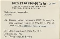 登錄號:L00001966藏品圖，第2張