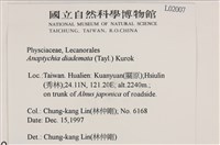 登錄號:L00002007藏品圖，第2張
