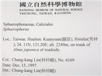 登錄號:L00002008藏品圖，第2張