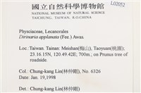 扁平黑囊基衣藏品圖，第2張