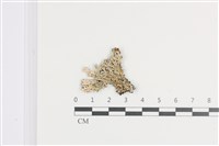 登錄號:L00002064藏品圖，第1張