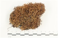 登錄號:L00002072藏品圖，第1張