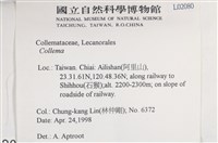 登錄號:L00002080藏品圖，第2張