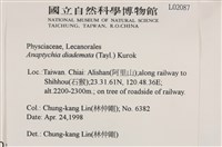 登錄號:L00002087藏品圖，第2張