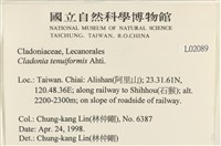 登錄號:L00002089藏品圖，第2張