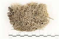 登錄號:L00002089藏品圖，第1張