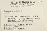 登錄號:L00002091藏品圖，第2張