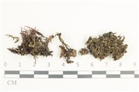 登錄號:L00002092藏品圖，第1張