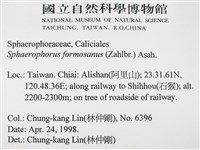 台灣球粉衣藏品圖，第2張