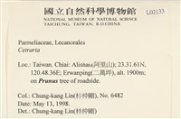 登錄號:L00002133藏品圖，第2張