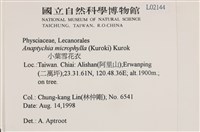 小葉雪花衣藏品圖，第2張