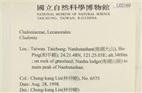 登錄號:L00002169藏品圖，第2張