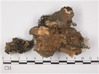 登錄號:L00002209藏品圖，第3張