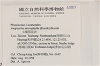 小葉雪花衣藏品圖，第2張