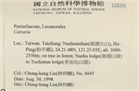 館號:L00002226藏品圖，第2張