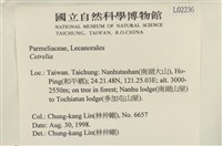 登錄號:L00002236藏品圖，第2張